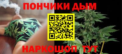 гидра Славгород