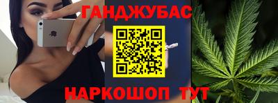 гидра Славгород