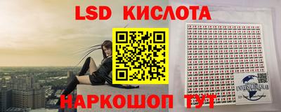 гидра Славгород