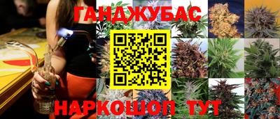 ешки Сланцы