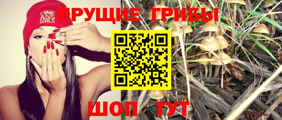 Псилоцибиновые грибы ЛСД  Вход с VPN  купить наркотики сайты  Нягань 
